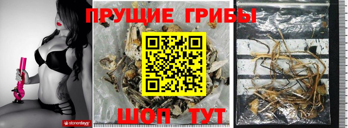 Галлюциногенные грибы MAGIC MUSHROOMS  Псилоцибиновые грибы мицелий  Вход с VPN  Благовещенск 